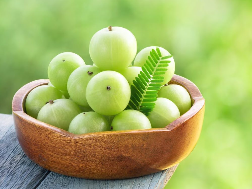 The Total Guide to Soap Frosting!!!